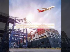 Sea Freight Service FCL LCL Shipping Service From with Customs Clearance Included and Tracking System