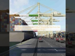 LT Lithuania Shipment Destination Shipping Service From Sea Freight FCL LCL Express and More Mode